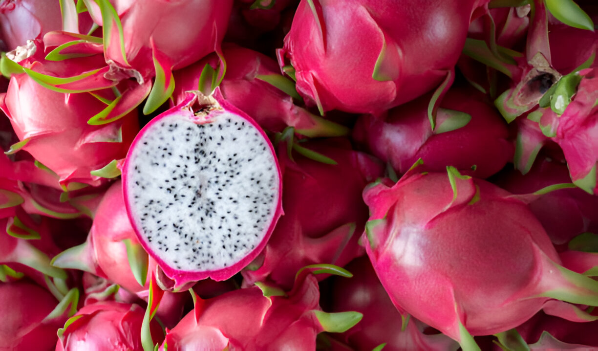 Dragon Fruit